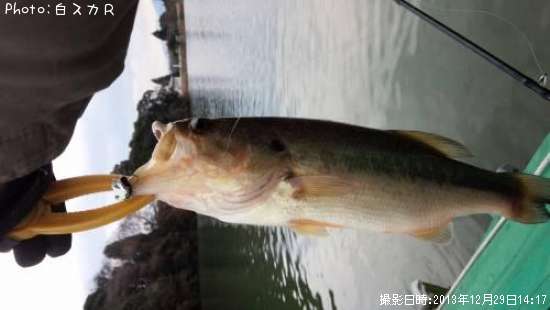 �顼���ޥ����Х�