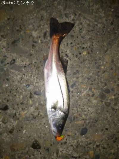 �����Х�