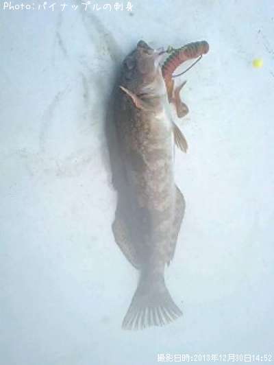 �����ʥ�