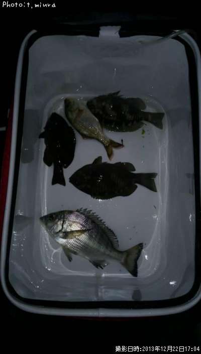 �����������᥸��