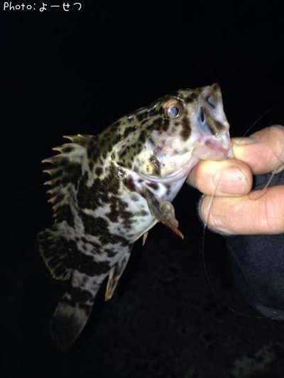 �����Υ���Х�