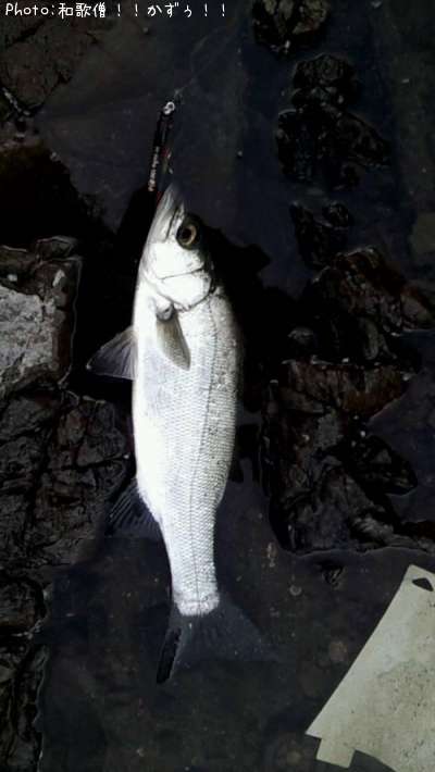 �ҥ饹����