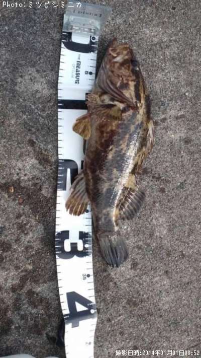 �����Υ���Х�