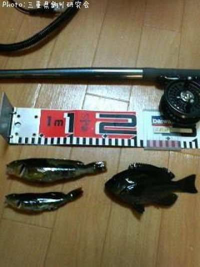 �����ʥ�