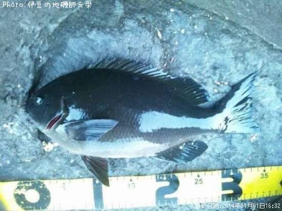 �����᥸��