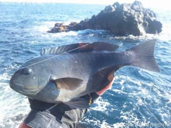 �����᥸��