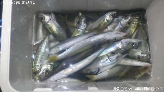 ���������ޥ�