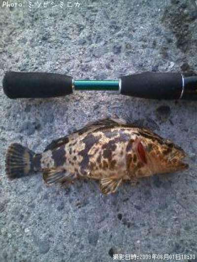 �����Υ���Х�