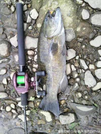 �֥�å��Х�