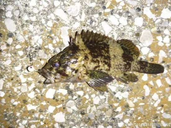 �����Υ���Х�