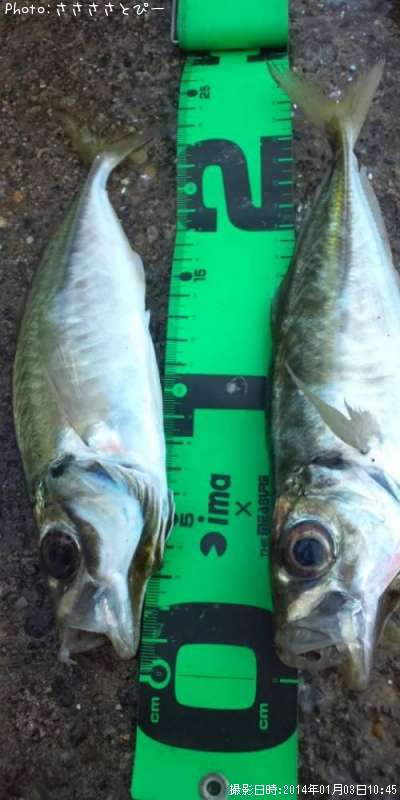 ���������ޥ�