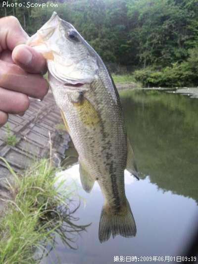 �֥�å��Х�