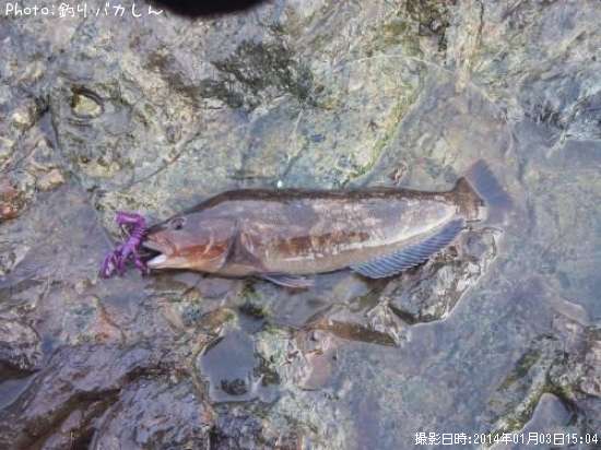 �����ʥ�