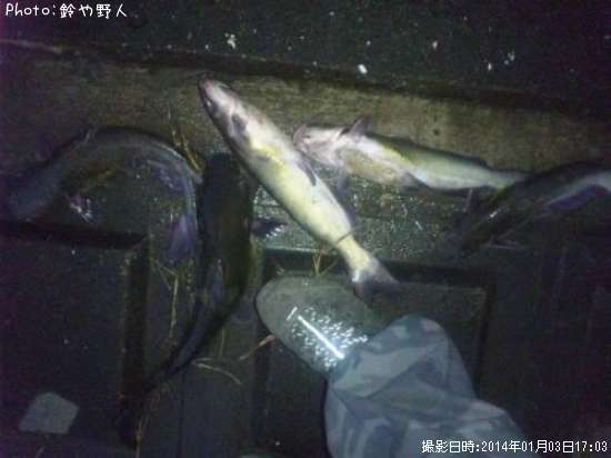 ����åȥե��å���