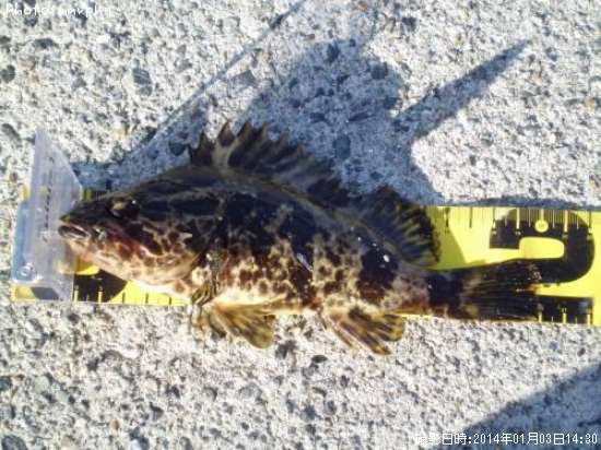 �����Υ���Х�