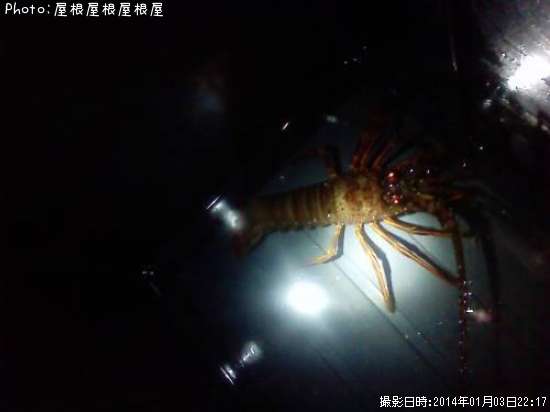 ���ꥬ�ˡʾС�