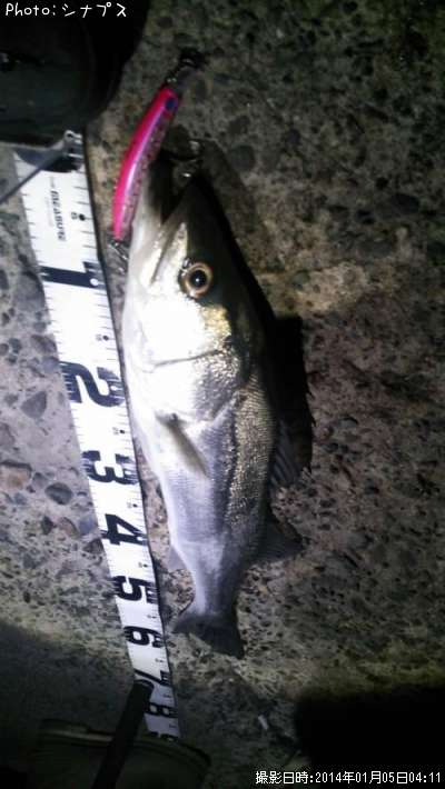 �����Х�