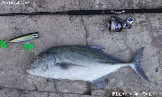 �����ߥ���