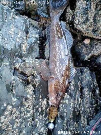 �����ʥ�