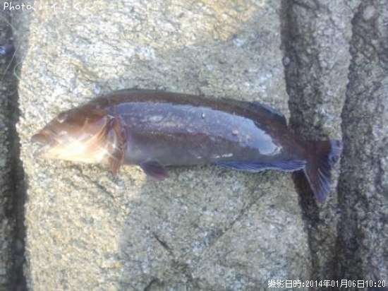 �����ʥ�