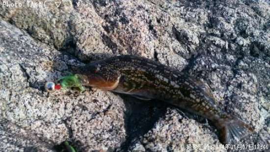 �����ʥ�