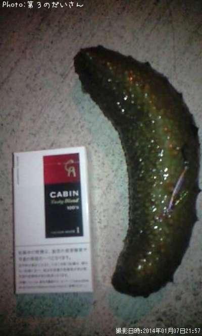 �ʥޥ�