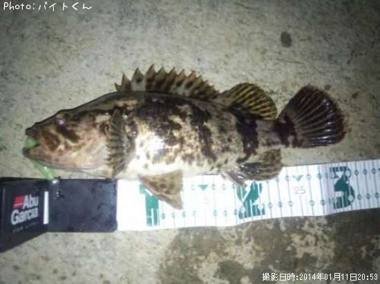 �����Υ���Х�