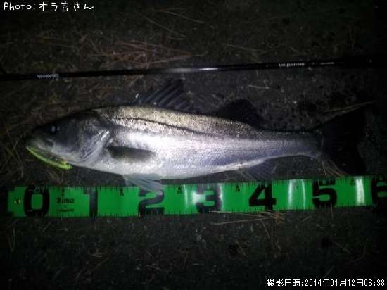 �����Х�