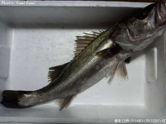 �����Х���