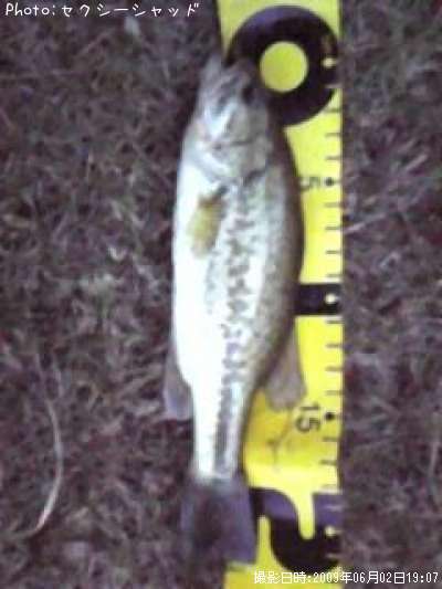 �֥�å��Х�