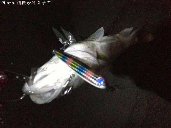 �����Х�