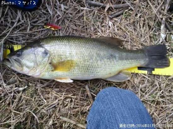 �֥�å��Х�