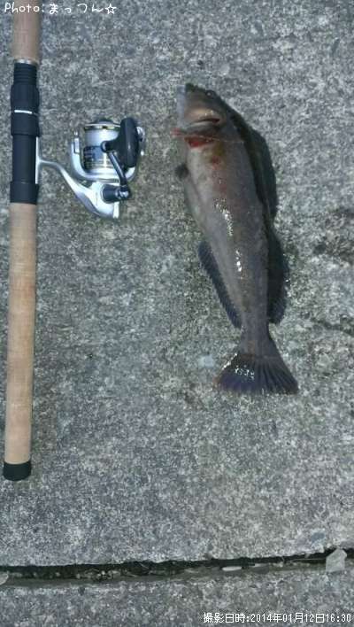 �����ʥ�