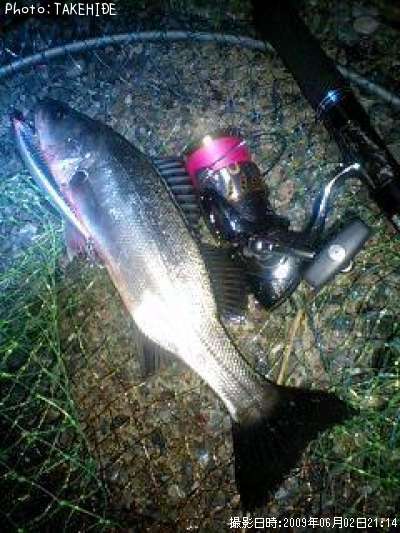 �����Х�