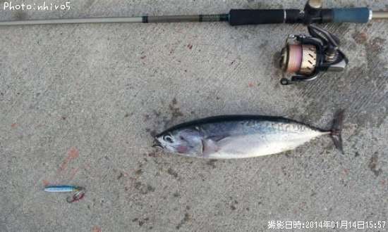 ���������ĥ�