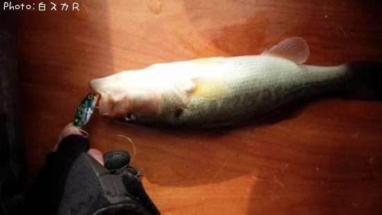 �顼���ޥ����Х�