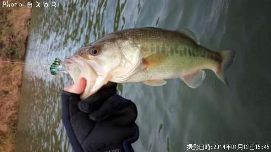 �顼���ޥ����Х�