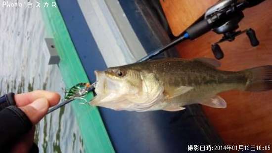 �顼���ޥ����Х�