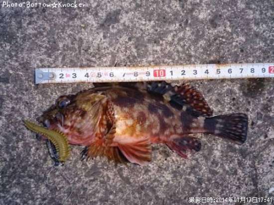 ������