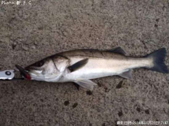 �����Х�