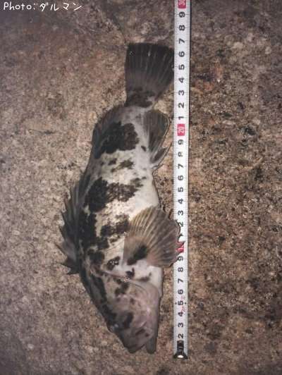 �����Υ���Х�