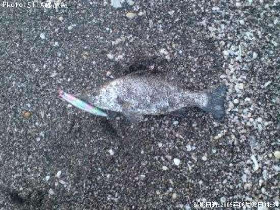 �ҥ饹����