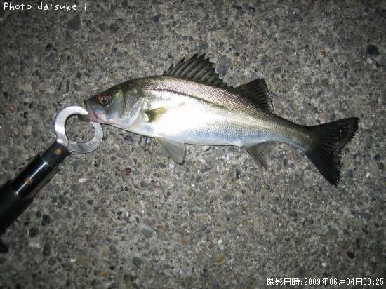 �����Х�