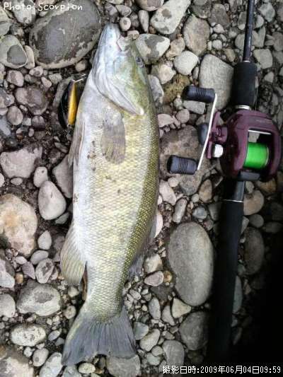 �֥�å��Х�