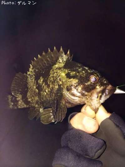 �����Υ���Х�