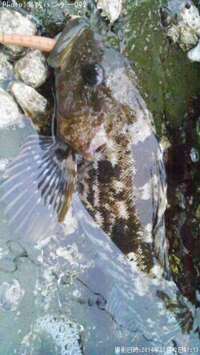 �����ʥ�