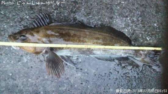 �����ʥ�