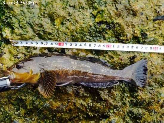 �����ʥ�