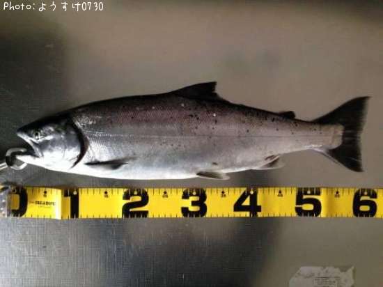 ������ޥ�