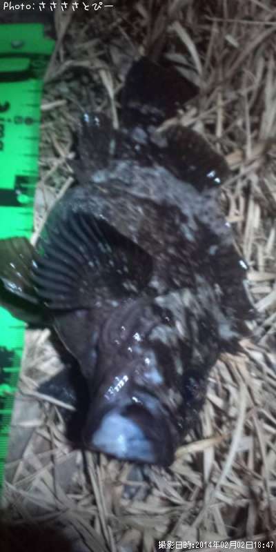 ��Х����ä���ʢ�ѥ󥽥�